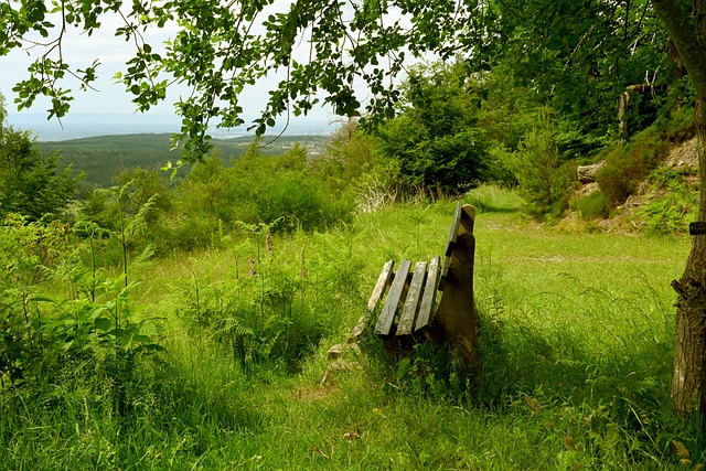 的攻防效率 的攻防效率
