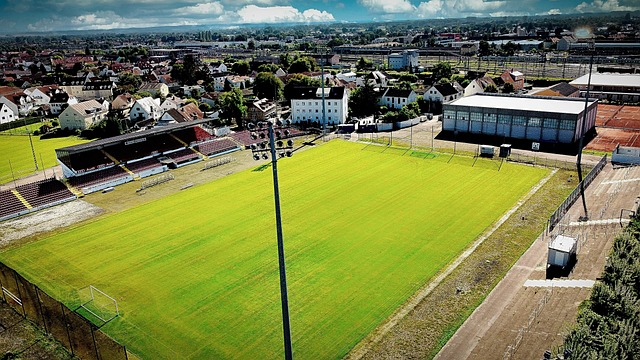 的真正障碍 的真正障碍