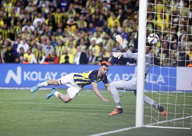 舞台的年轻 舞台的年轻