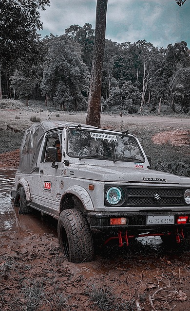 赛中的负荷 赛中的负荷